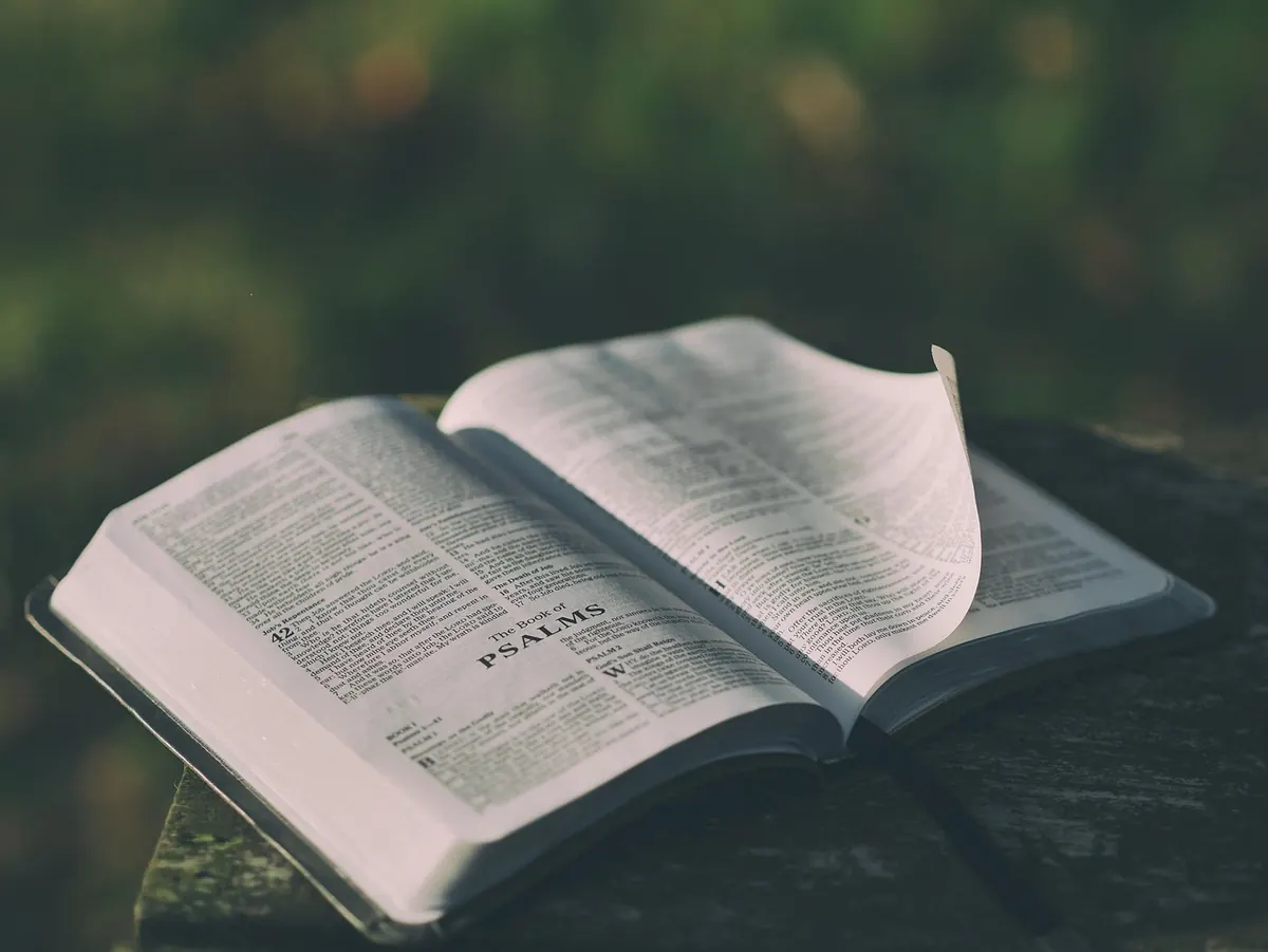 Reading Revelation Without Fear: A Beginner's Guide to Apocalyptic Literature